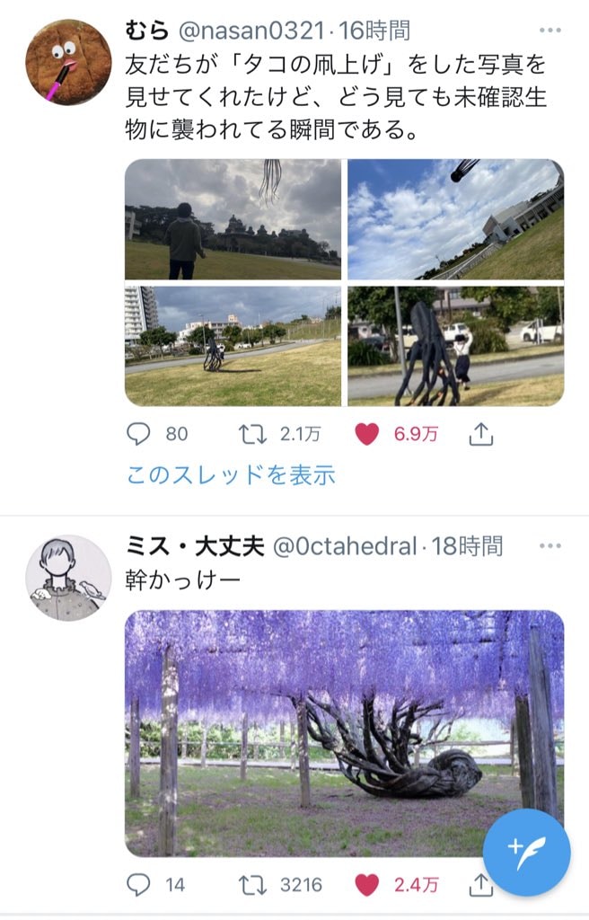 wisteria viral post coincidence