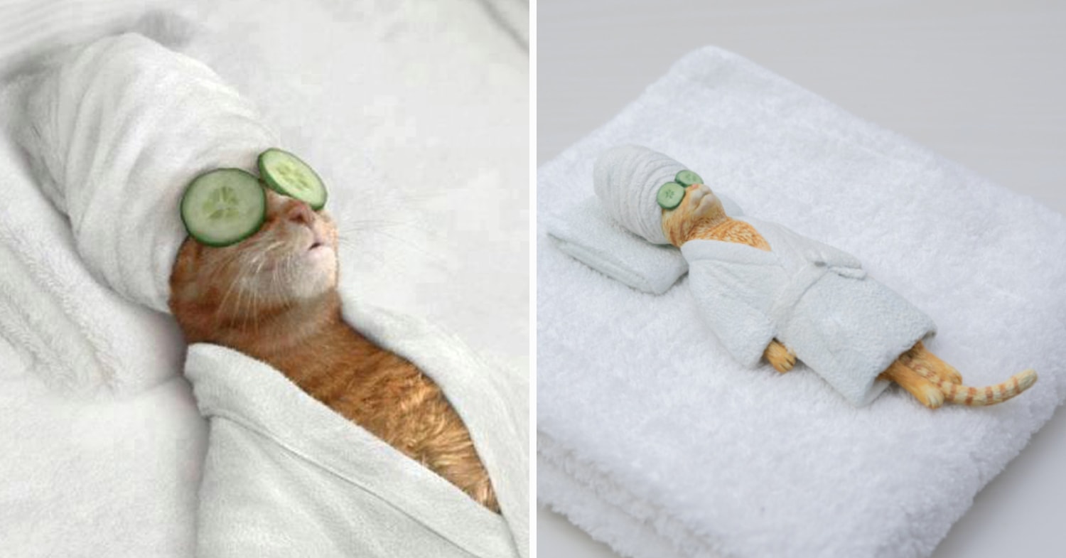 Meetissai meme sculptures - spa cat cucumber meme
