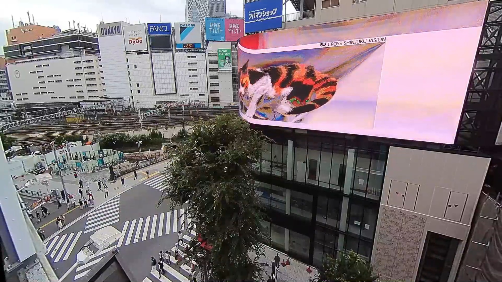 3d cat shinjuku - side view building