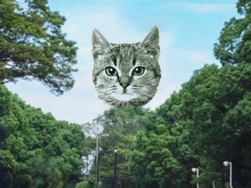 cat face edit