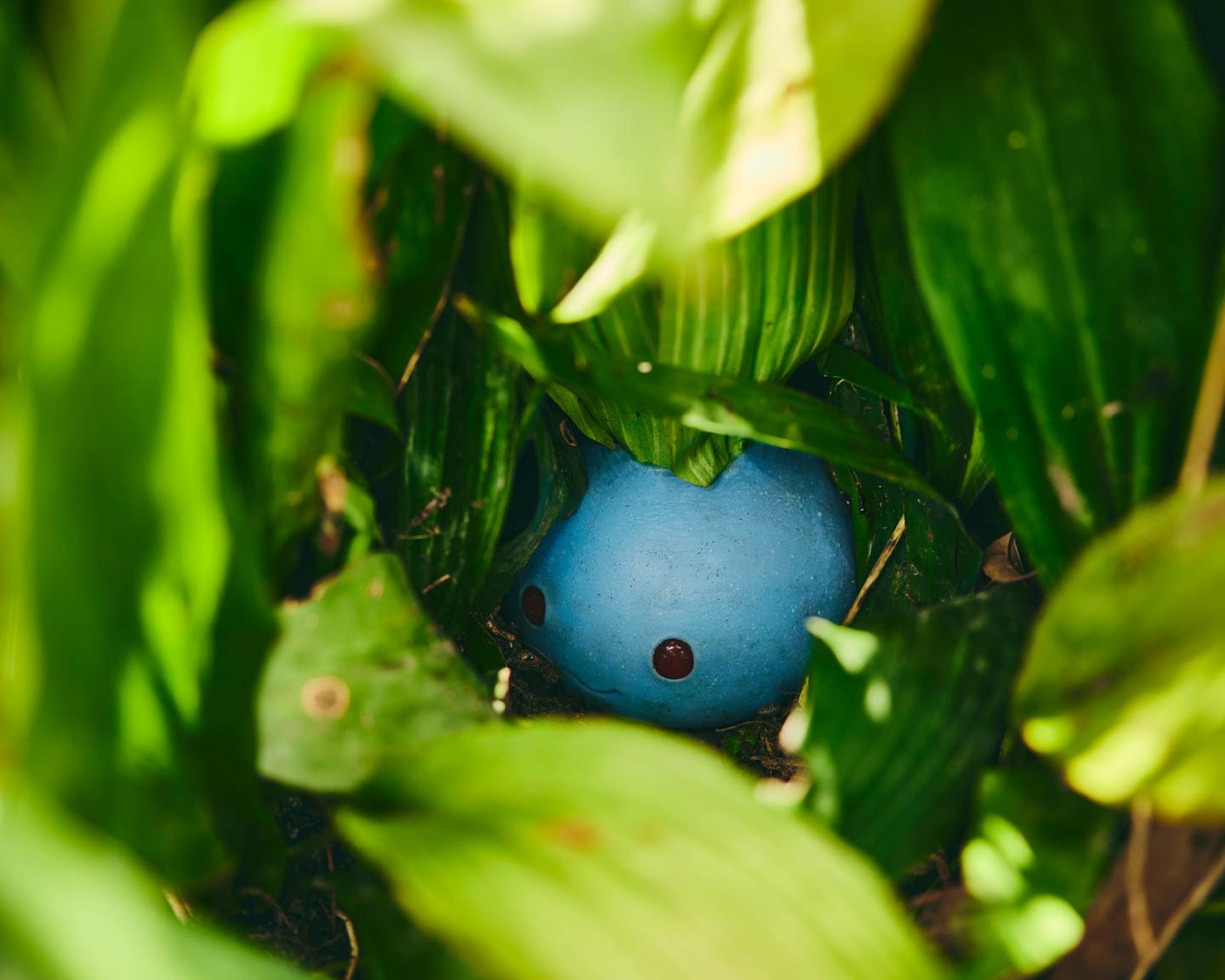 oddish model