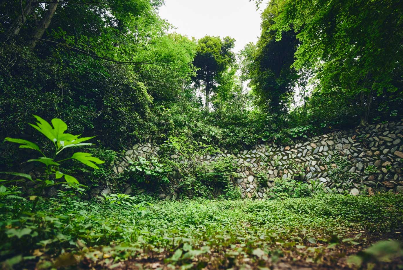 yomiuriland pokemon - ancient stone wall trail