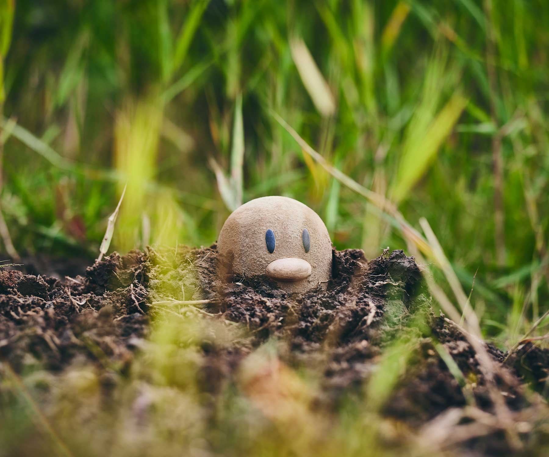 diglett model