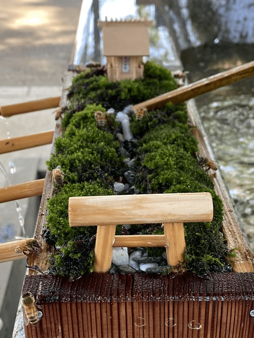 Japanese shrine bees - miniature water shrine