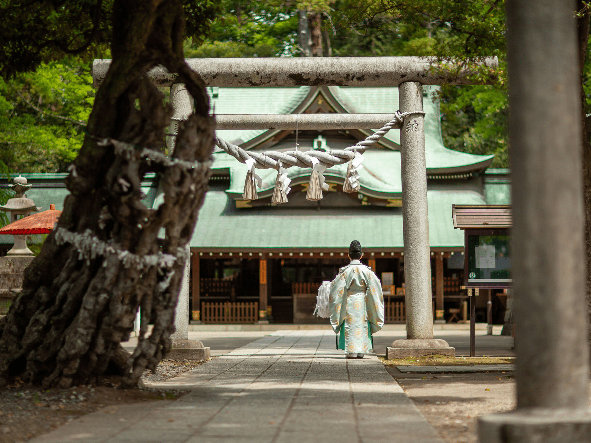 Japanese shrine bees - hitokotonushi