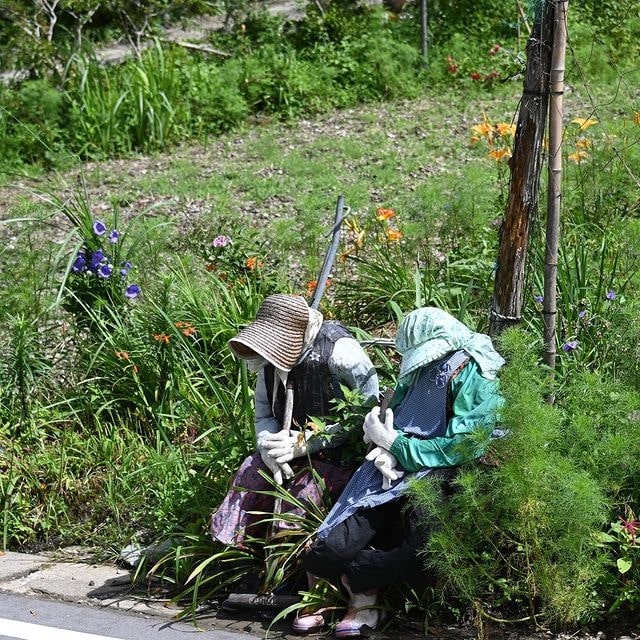 Japanese Scarecrow Village - scarecrows in field