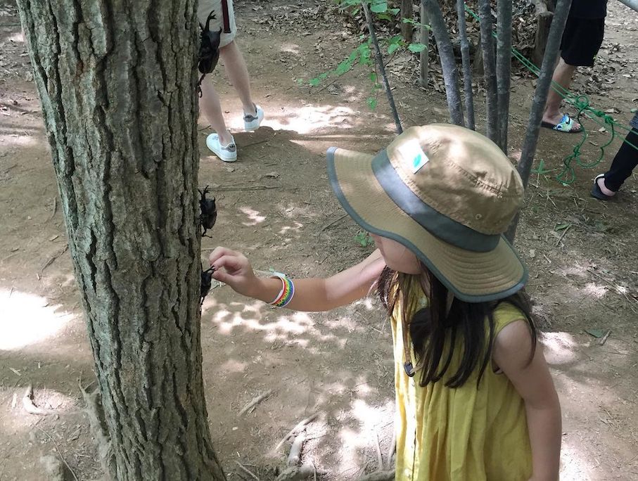 Mushi Mushi Land - girl touching beetle on tree