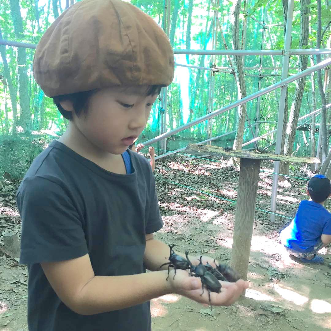 Mushi Mushi Land - boy in brown hat holding beetle