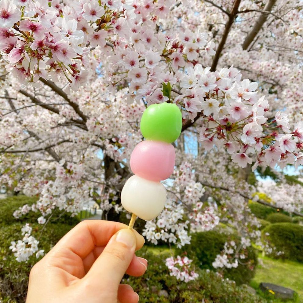 Wagashi - hanami dango