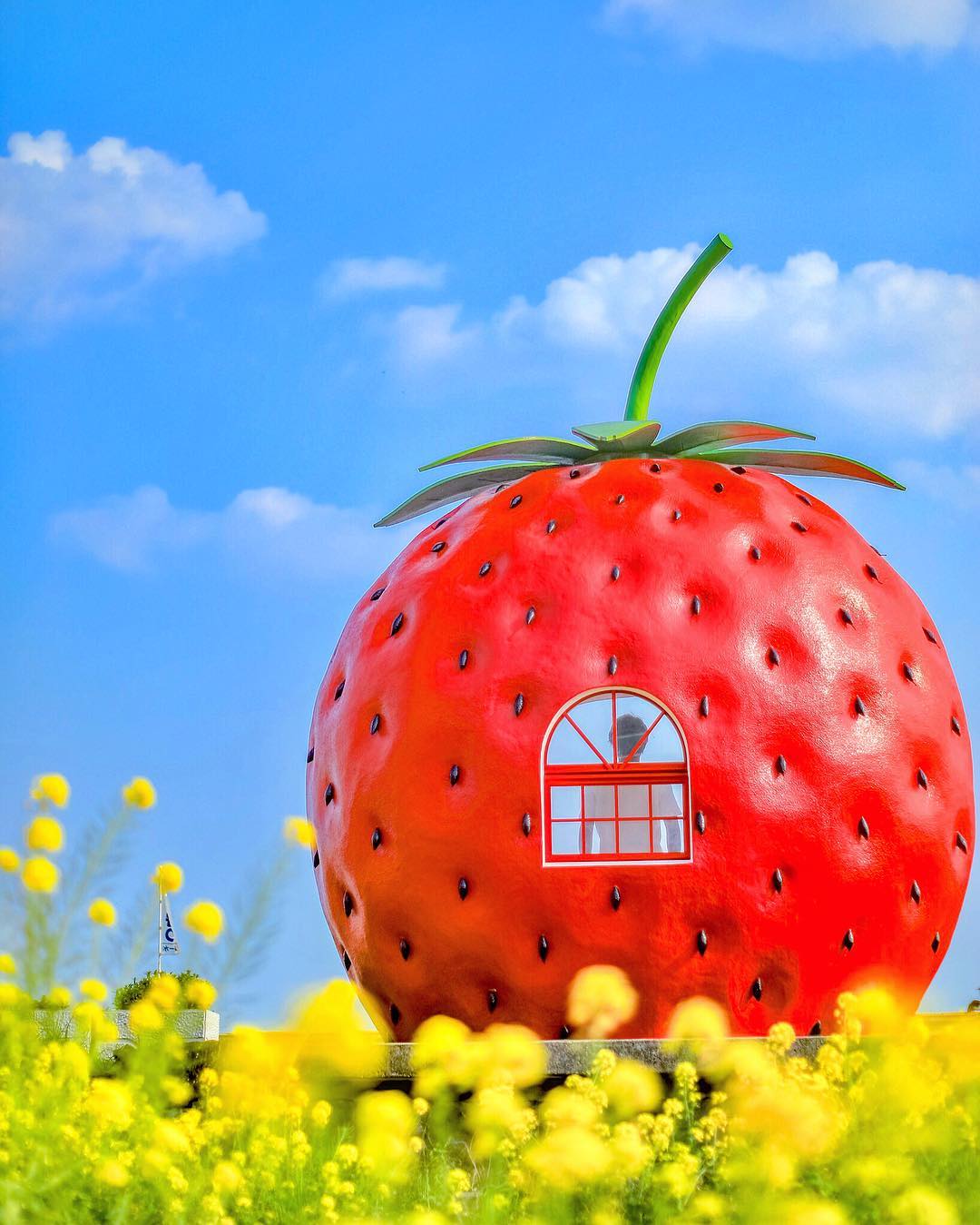 Konagai Guide A Town With Fruit Bus Stops & Fresh Oysters