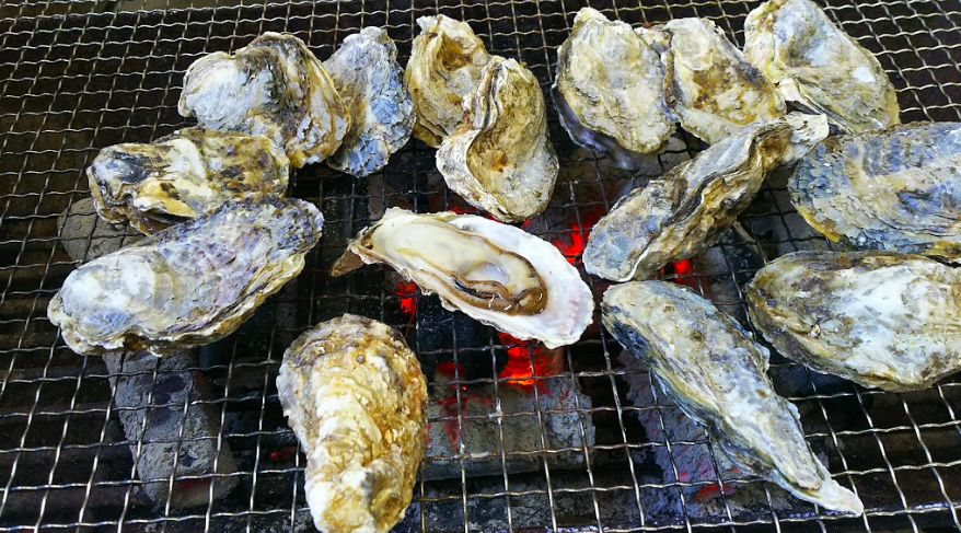Konagai guide - fresh oysters at Konagaicho Fishery Cooperative Wholesale Store