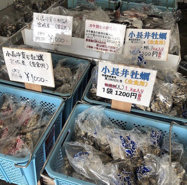Konagai guide - Oysters sold in bags