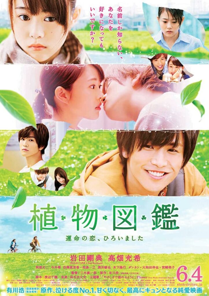 Japanese romance movies - Evergreen Love