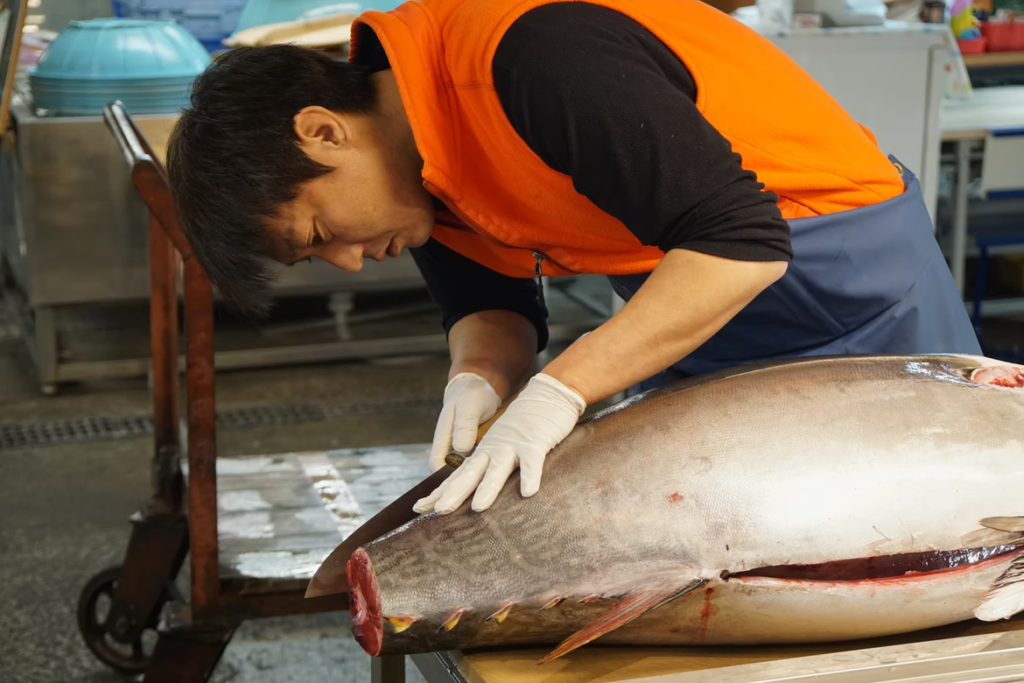 new years tuna - fisherman checking