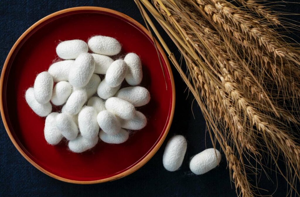 pasco silkworm bread - silkworms