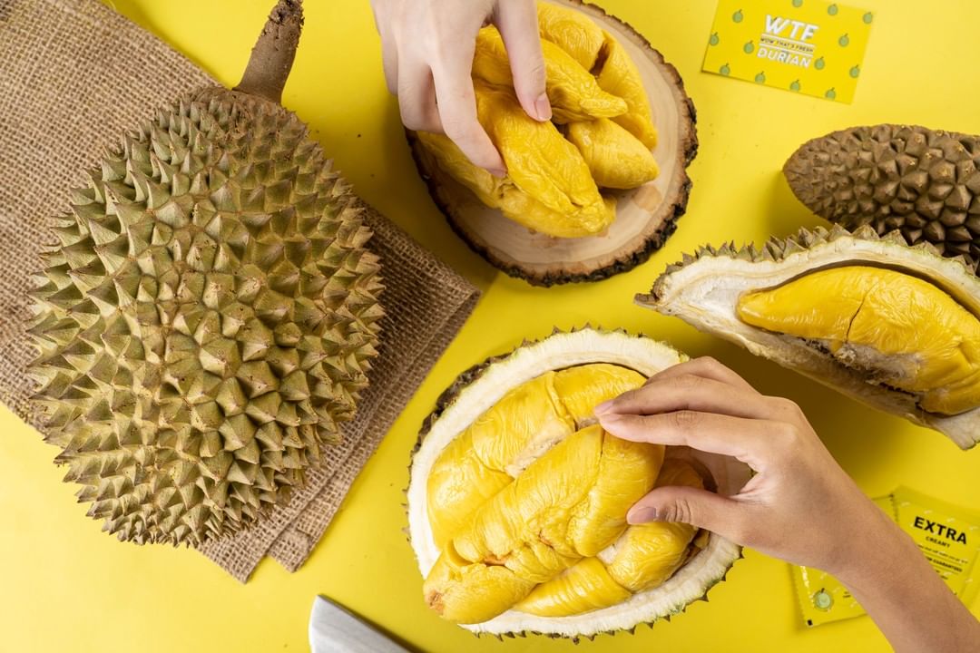 Japanese durian minister - many durians