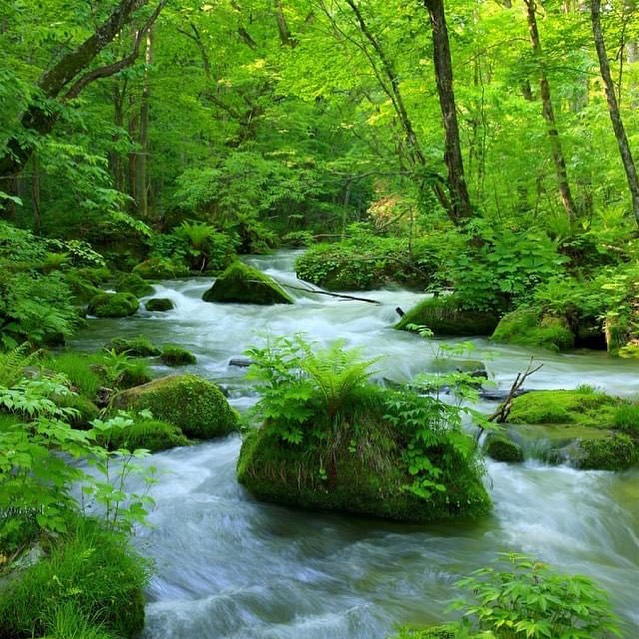 Cycling in Japan - towada oirase 