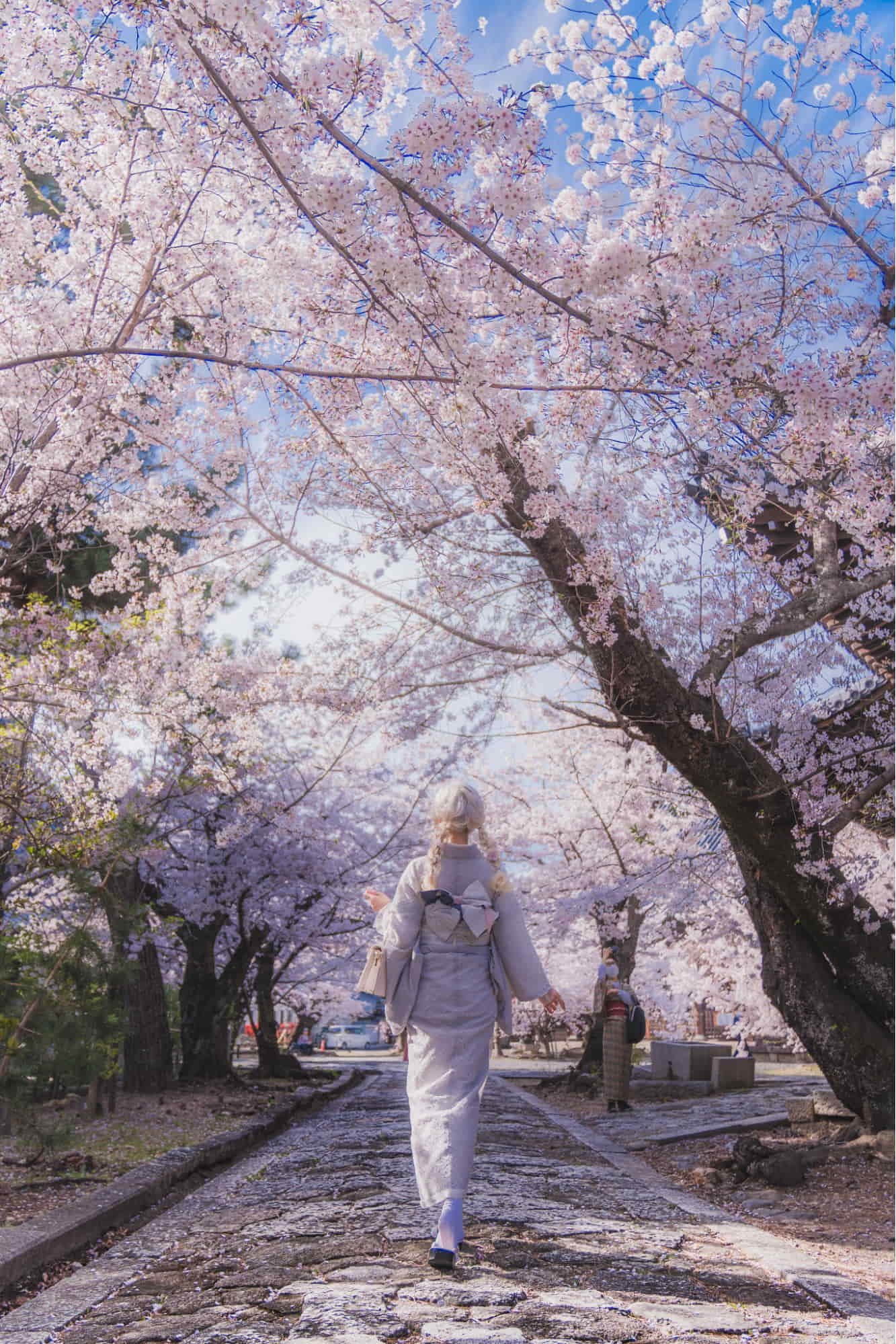 hanami guide - kimono cosplay