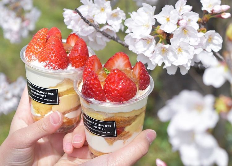 hanami guide - parfait