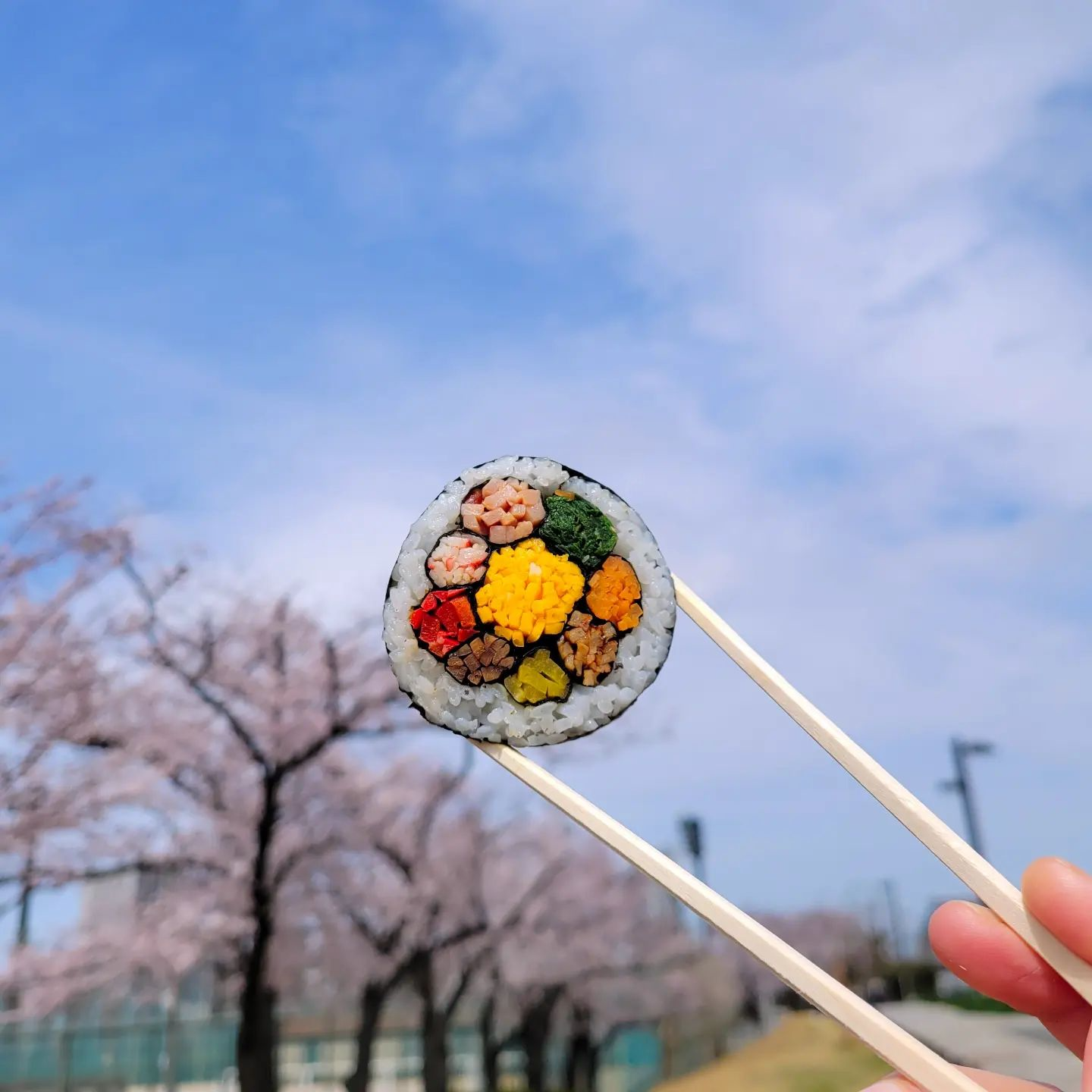 hanami guide - rainbow sushi