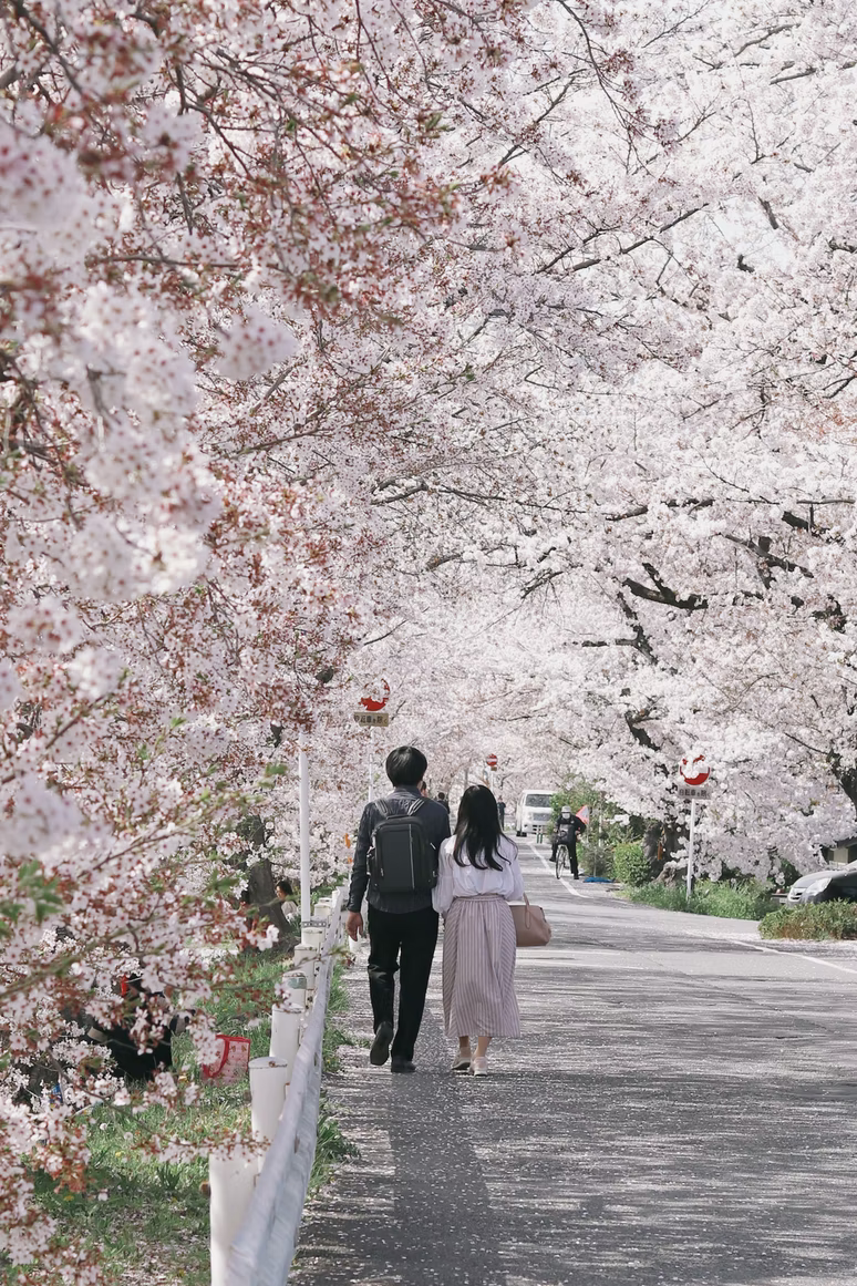 hanami guide - couple