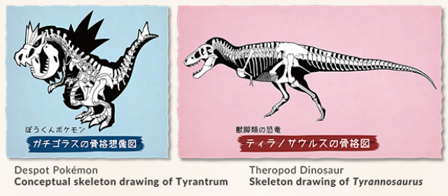 pokemon fossil museum - skeleton X-ray