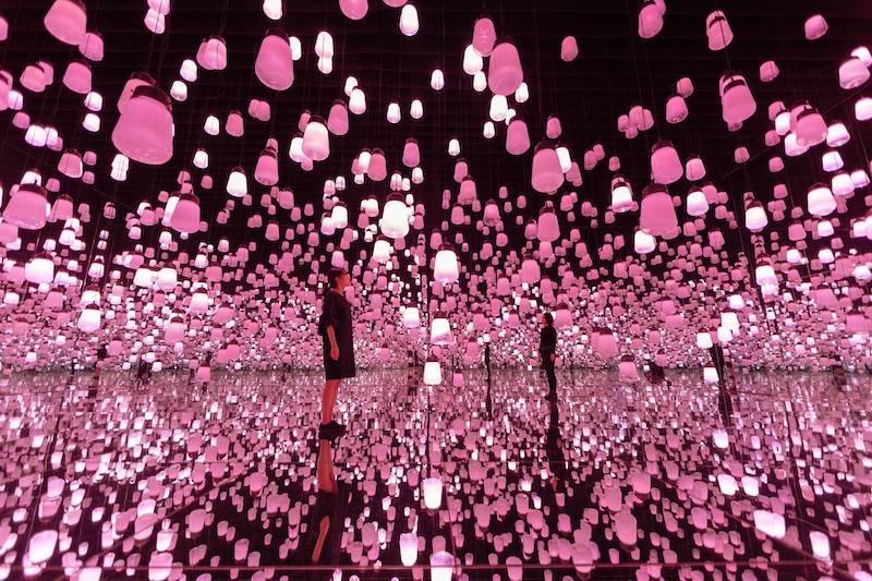 teamLab Borderless closing - sakura exhibition