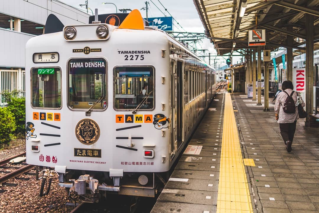 tama densha