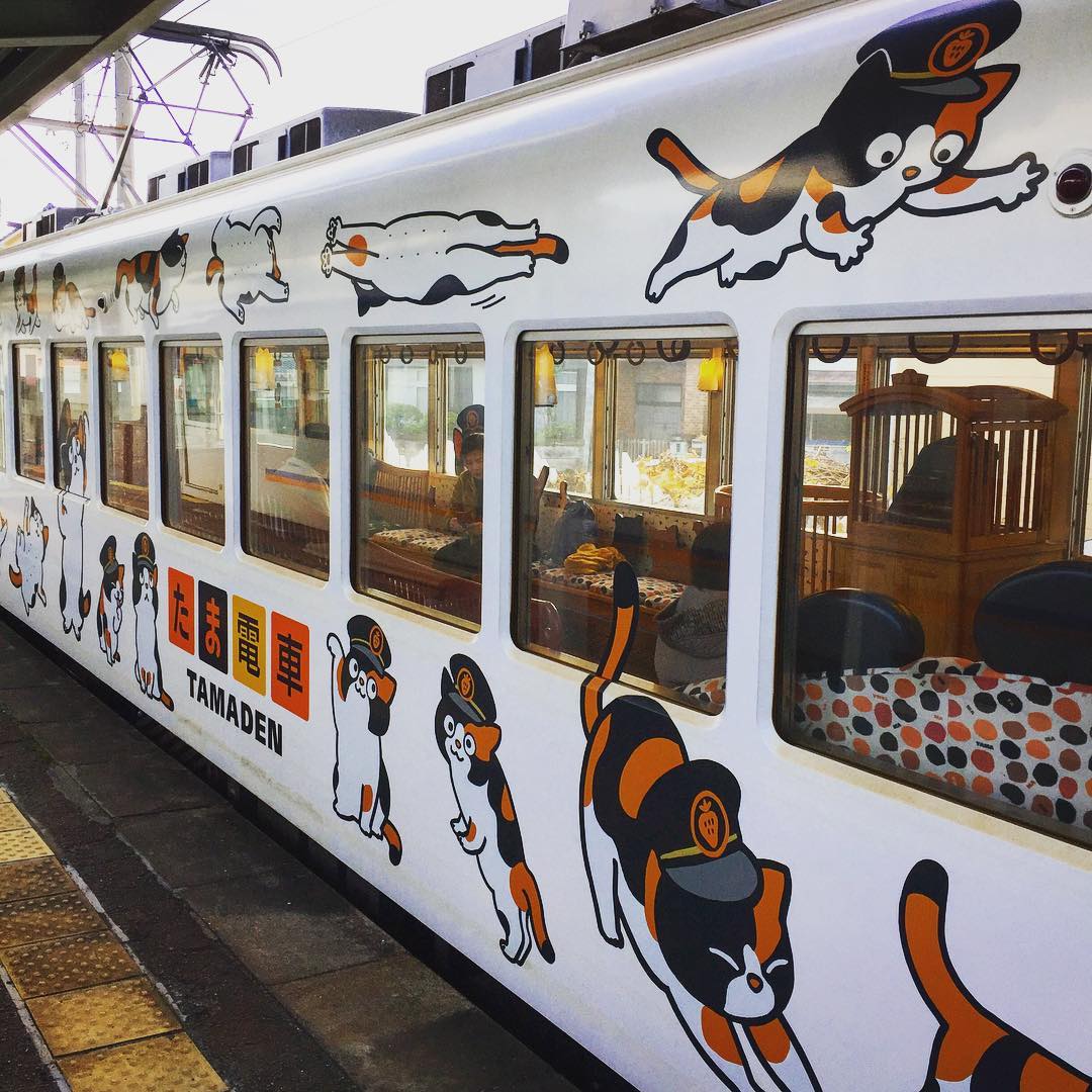 wakayama tama densha - train exterior