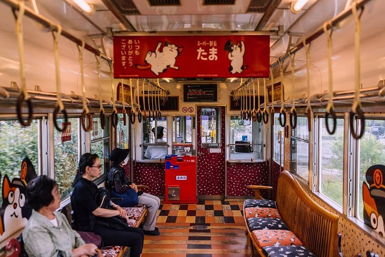wakayama tama densha - train interior