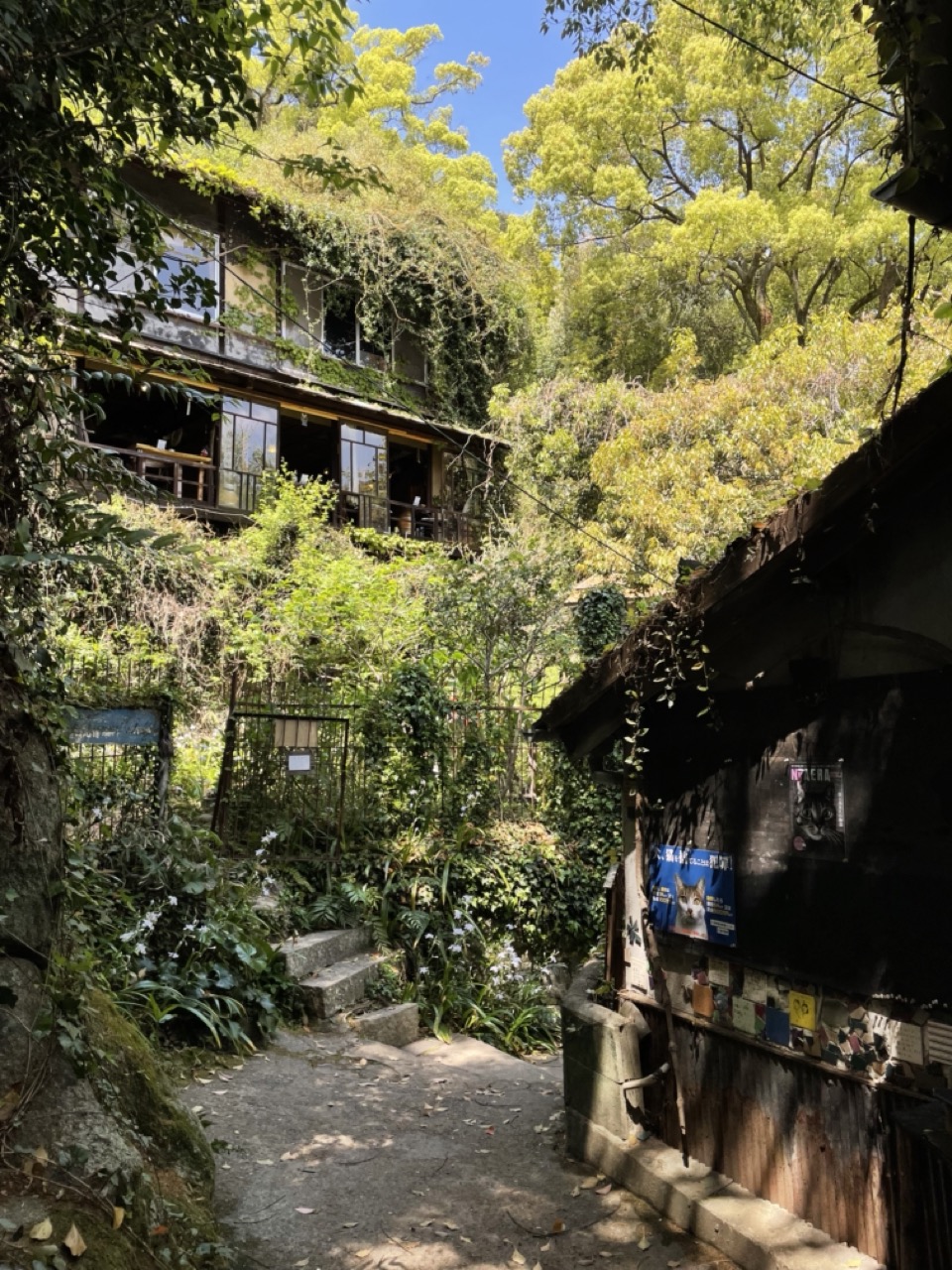 Onomichi - cat alley