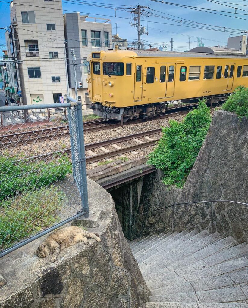 Onomichi - yellow train
