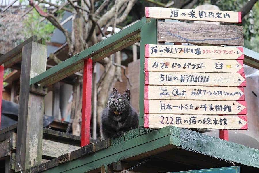 Onomichi - cat alley
