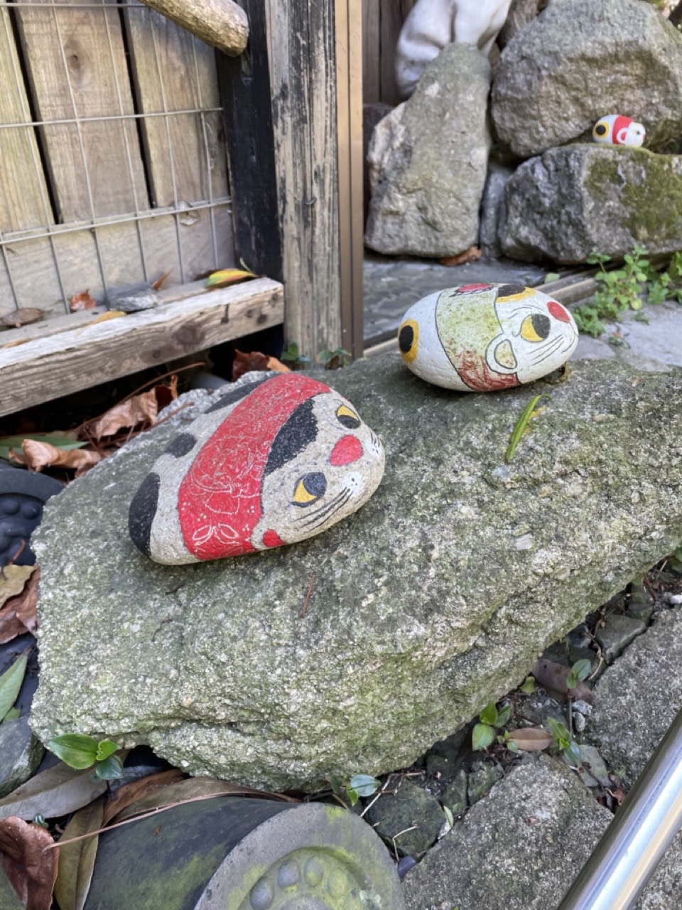 Onomichi - fukushi neko