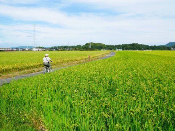 Kibi Plain: Cycle Through The Countryside & Explore Ancient Tombs