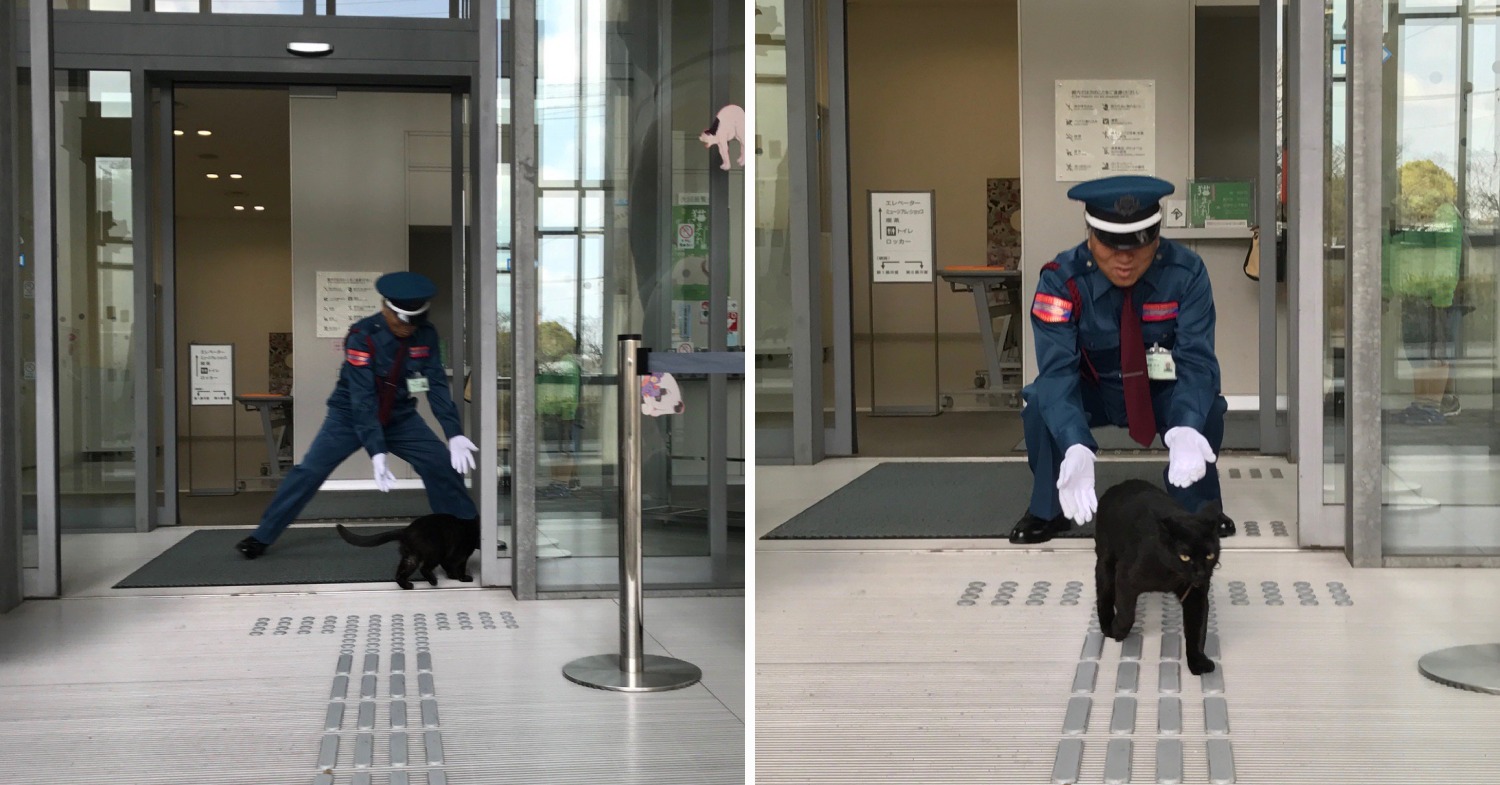 Onomichi City Museum Of Art - ken chan vs guard