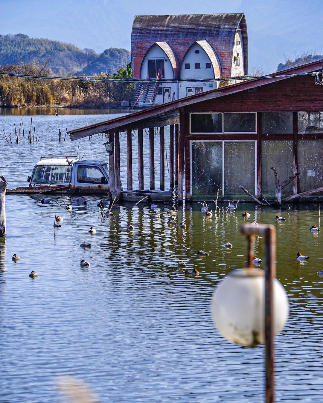 Ushimado Green Farm Ruins - rusty houses in a pool of water