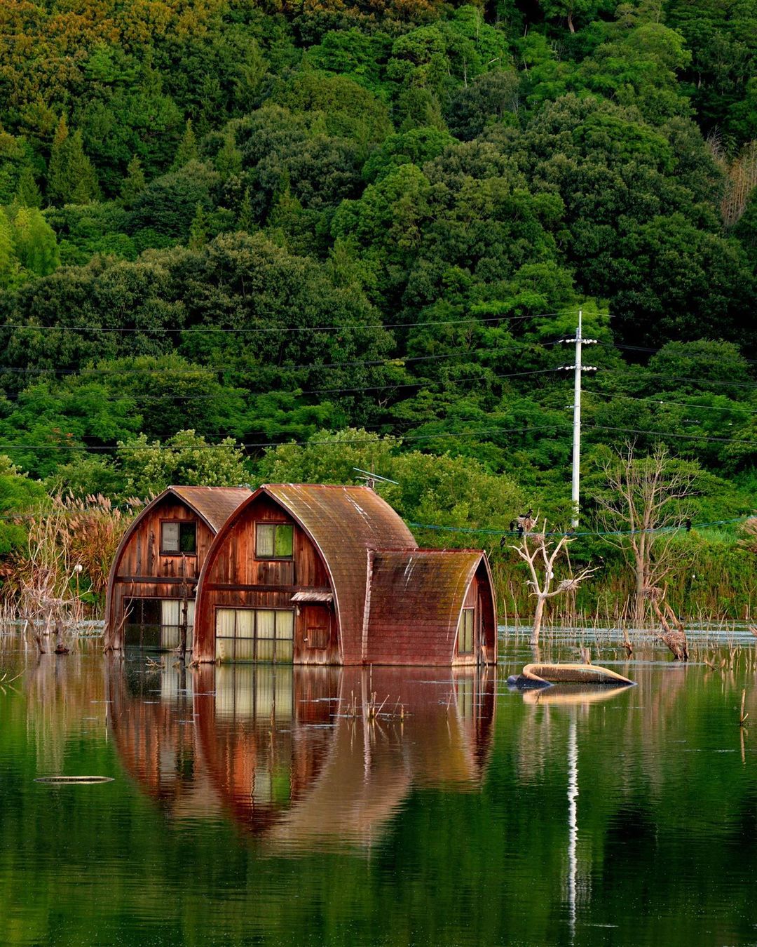 Ushimado Green Farm Ruins - rusty houses in a pool of water