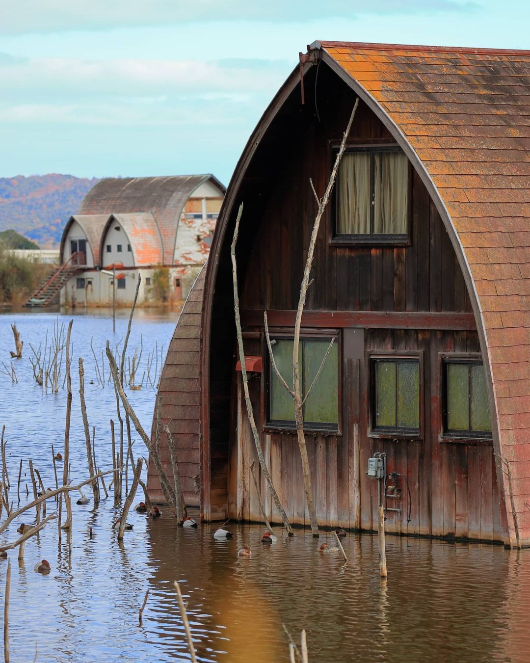 Ushimado Green Farm Ruins - rusty houses in a pool of water