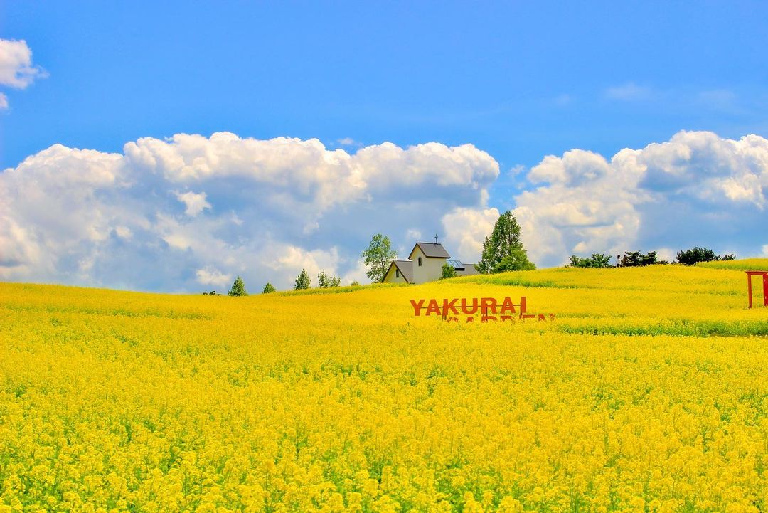 Yakurai Garden - flower field