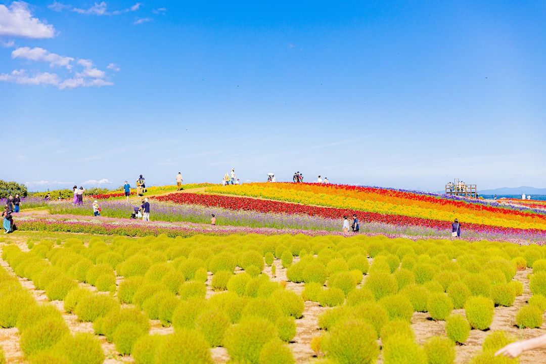 Yakurai Garden - flower park