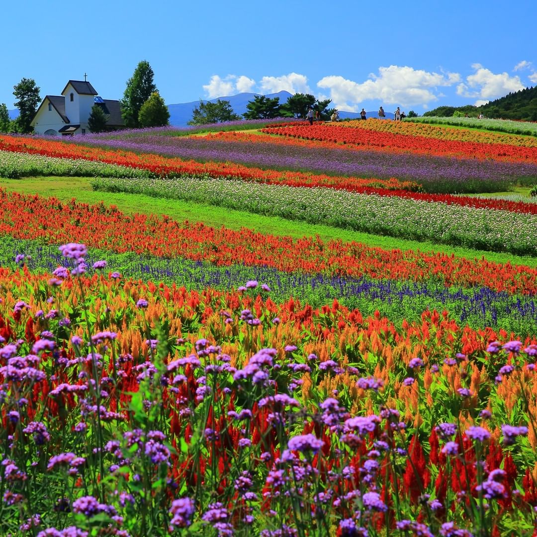 Yakurai Garden - flower park