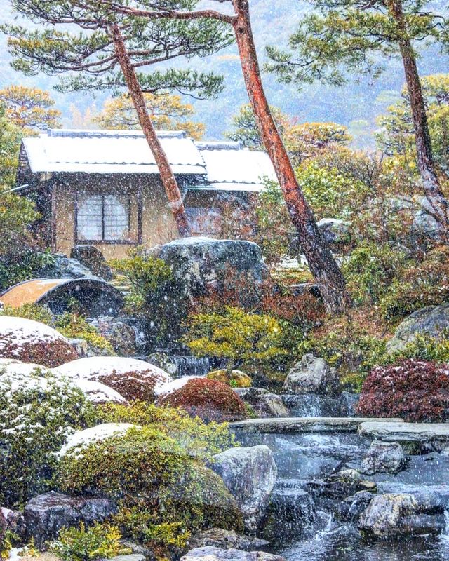 Adachi Museum Of Art - snowing in the pond garden
