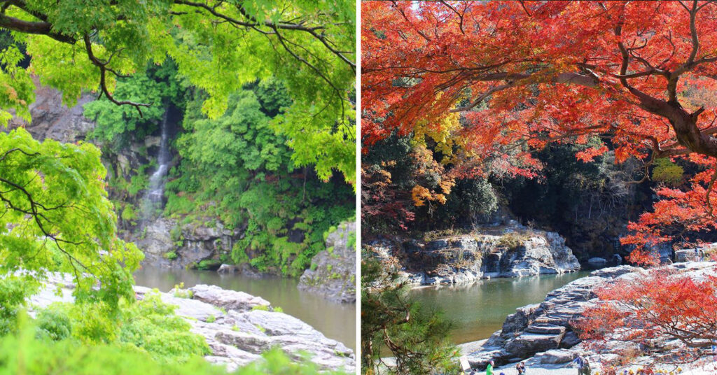 Hana No Omotenashi Choseikan - four seasons along the same river