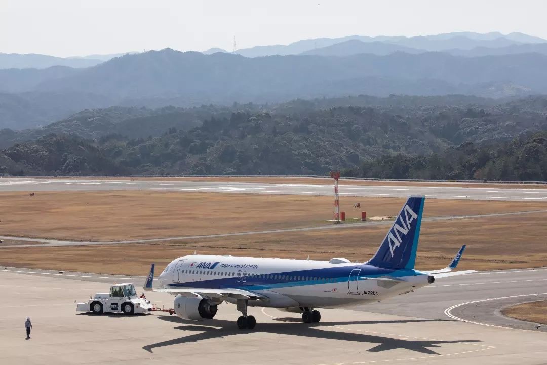 Shiba inu japan airport - ana plane