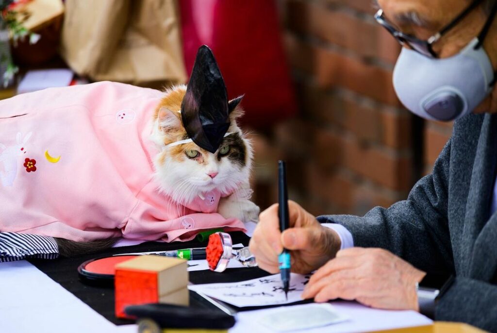 nitama cat priest - Cat wearing priest robes with Wakayama Electric Railway President