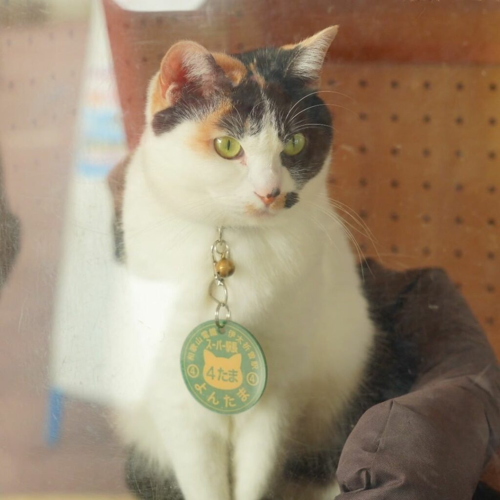 nitama cat priest - Assistant stationmaster Yontama.