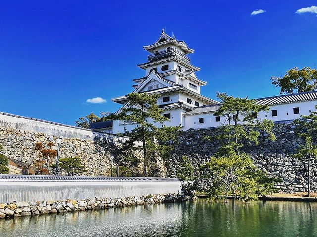 ehime - imabari castle