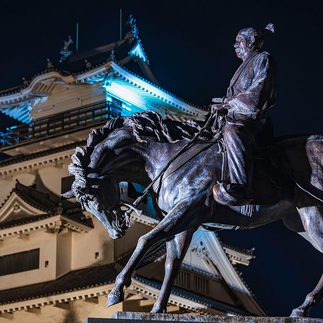 ehime - imabari castle