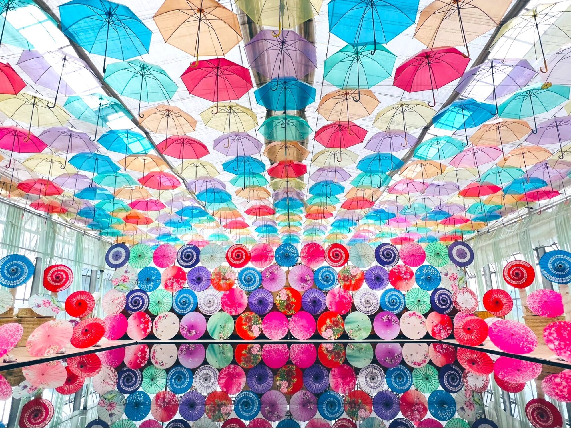 Inawashiro Herb Garden - Umbrella sky